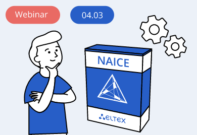 The rise of NAICE: exploring Eltex NAC system in practice